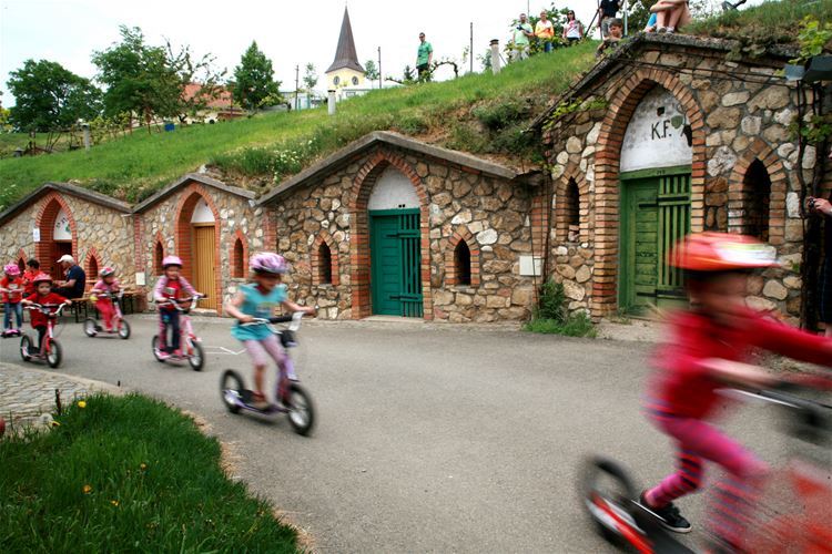 The ride took place between Vrbice wine cellars which have beautiful stone entrance portals with pointed arches. You cannot find such anywhere in the world.