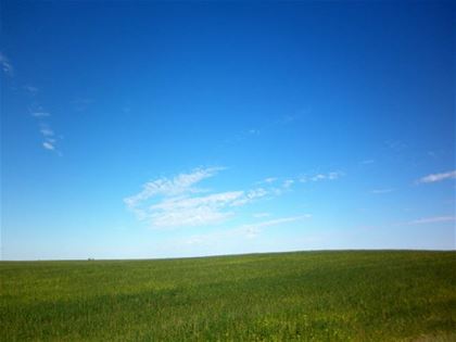 The famous image by Charles O’Rear, which is known as the wallpaper for the Windows XP operating system, might have been shot there. 