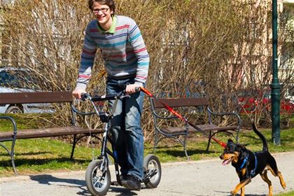 You can run many kilometers with your dog on a scooter.