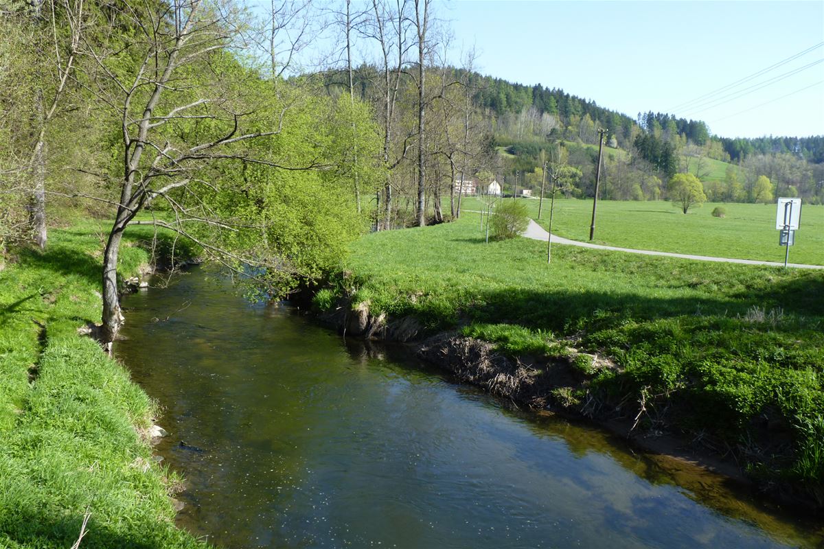 *Die Tichá Orlice ist einer der wenigen tschechischen Flüsse, die in langen Abschnitten unreguliert ist. Ihre bewahrten Fluss- und Auen-Ökosysteme sind seit 1996 geschützt.