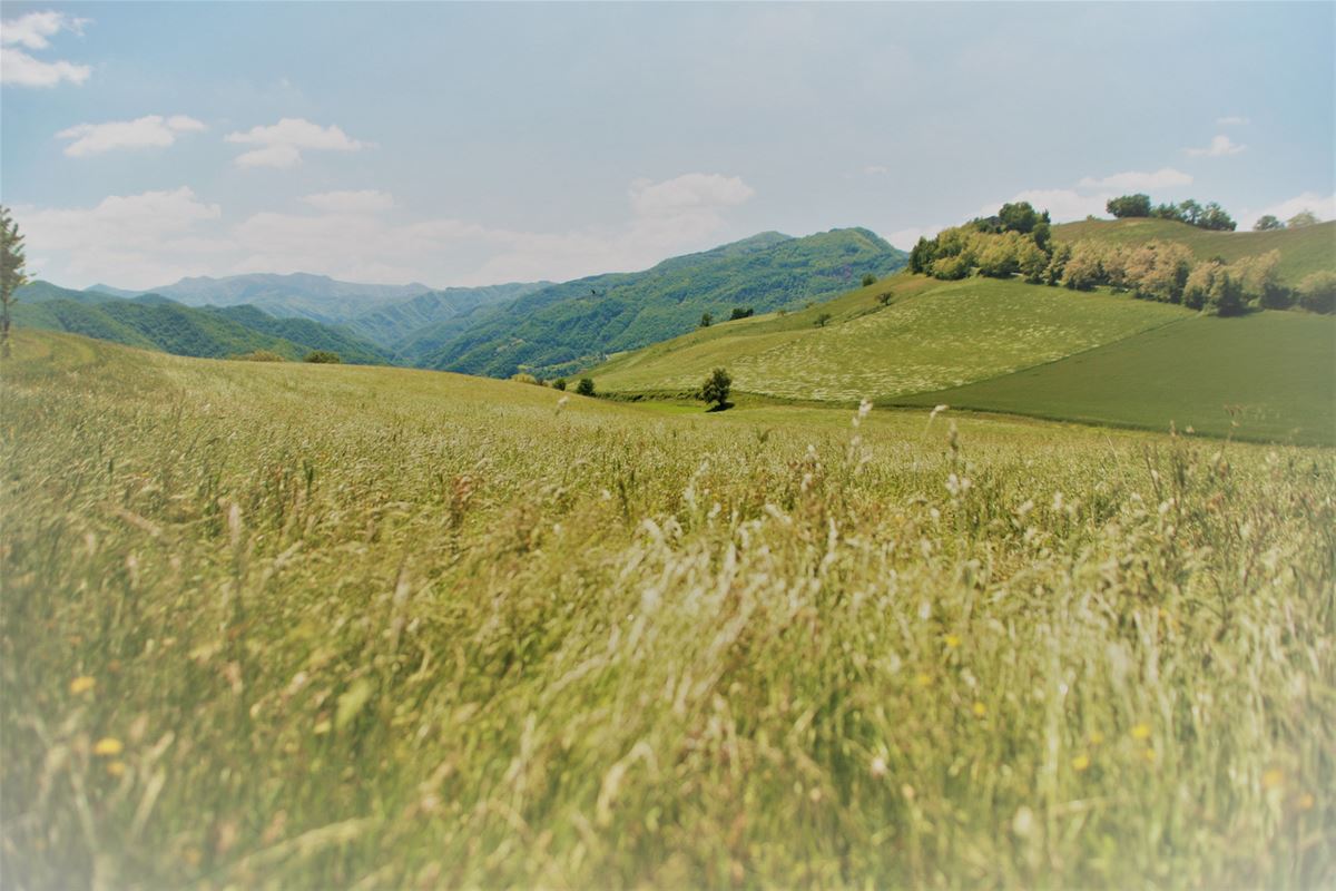 Fantastic landscape views have been a reward for us.