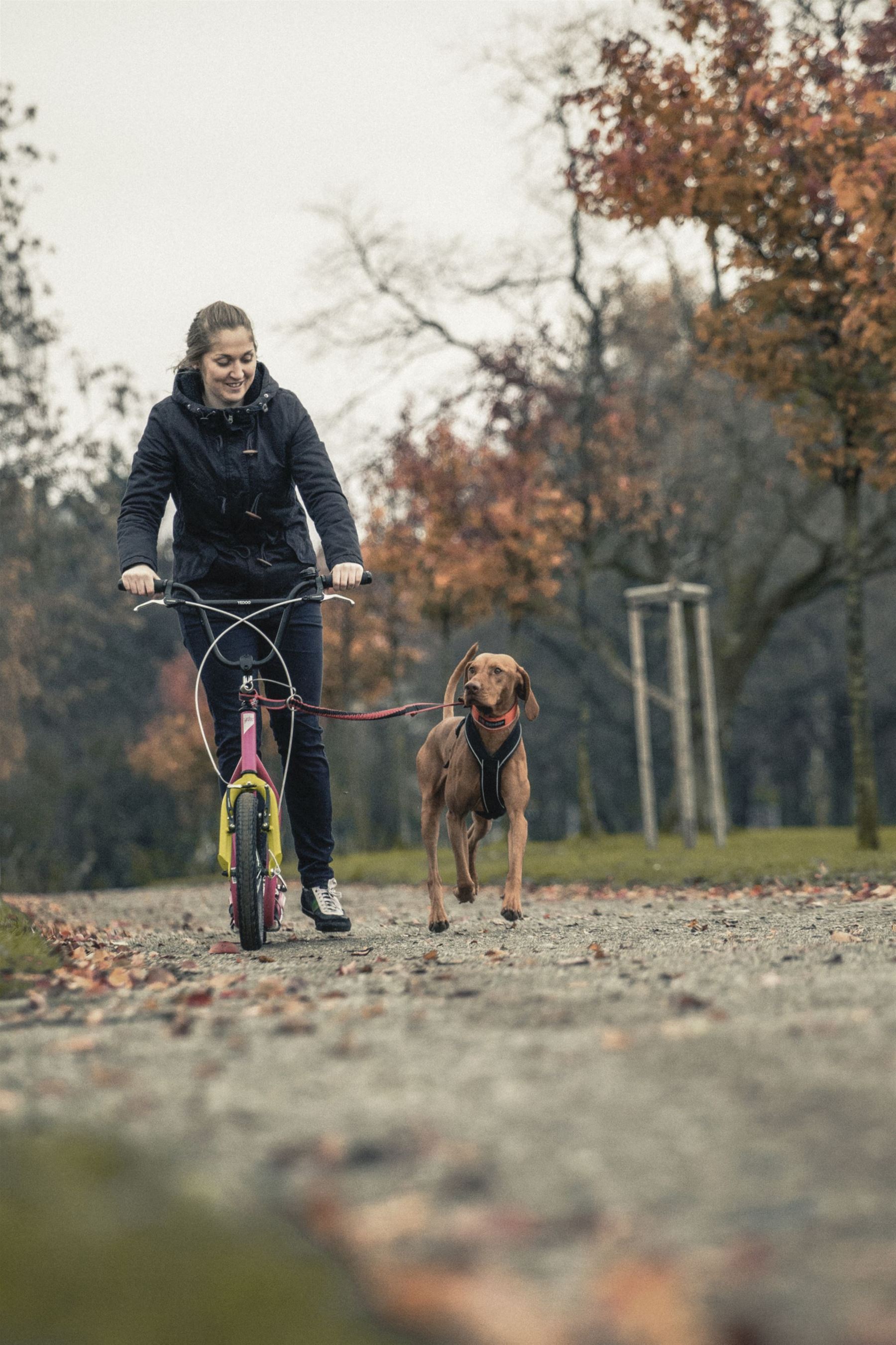 Yedoo Mushing set, mushing na koloběžce se psem