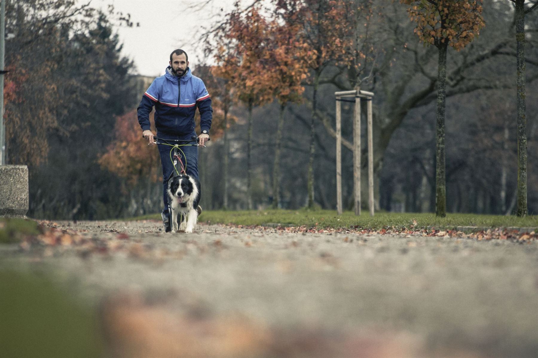 S&nbsp;pejskem na koloběžce, Yedoo Mushing Set