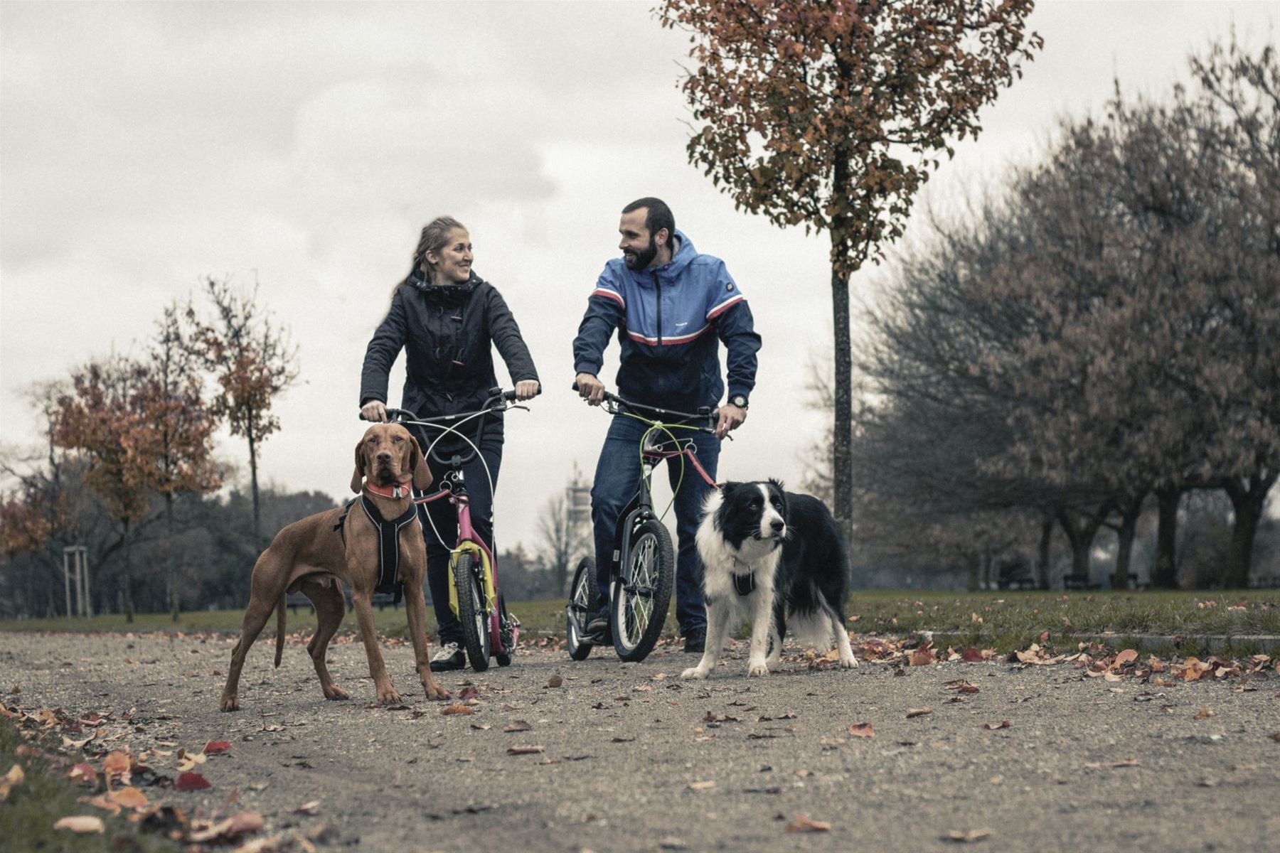 Na koloběžku se psem, Yedoo Mushing Set