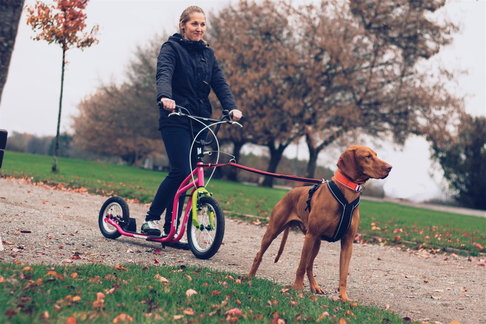 Yedoo Schutzblech Hinterrad 20 Zoll für diverse Yedoo Tretroller