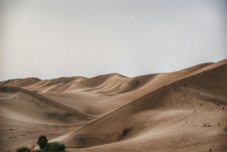 "Ждет нас пустыня, эта как раз в Перу, но не волнуйтесь - среди этой массы песка ведет прекрасная асфальтированная дорога," - говорит Марек :))