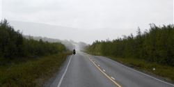 The more northwards you go, the more the landscape and weather change.