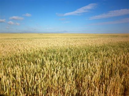 Die Landschaft in der Umgebung von Lethbridge