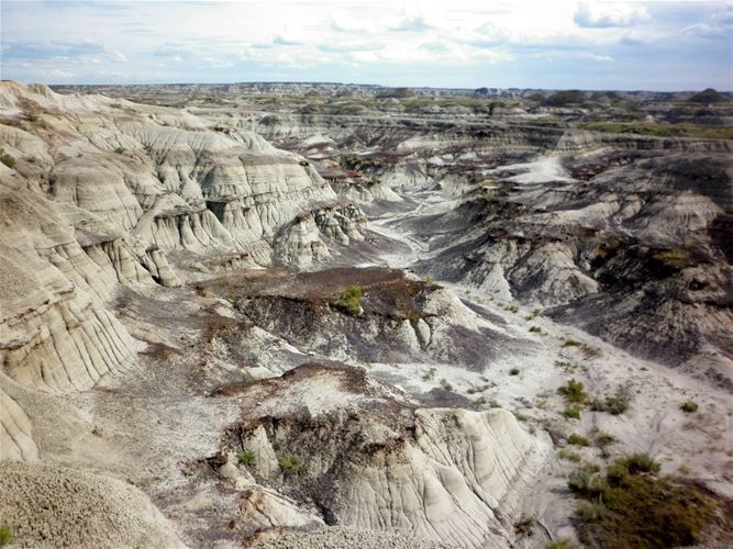 Krajina v dinosauřím parku (Dinosaur Provincial Park). Zkamenělé kostry vymřelých ještěrů, které tu vědci našli, jsou k vidění v městečku Drumheller.