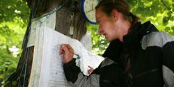 The final results are available at www.kolobezky.wz.cz.