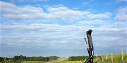 Auch hier konnte ein berühmtes Bild entstehen, dass die Menschen aus den Bildschirm Windows XP kennen werden.