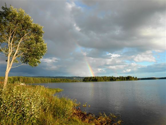 Швеция-это страна тысячи озер, обширных лесов и нескончаемых расстояний.