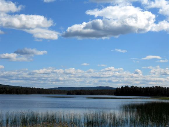 Согласно Википедии, в Швеции больше 97 500 озер, площадь которых превышает 2 гектара, в Швеции - много красивейших мест, где кроме вас никого нет