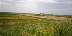 The countryside offers romantically stunning views, as well as boasts various historical monuments reminding the long settlement history of the lowland area of the River Po.