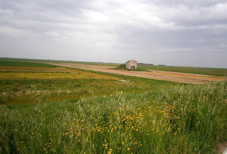 Romantická krajina skrývá různé historické památky na dlouhou dobu lidského osídlení Pádské nížiny.