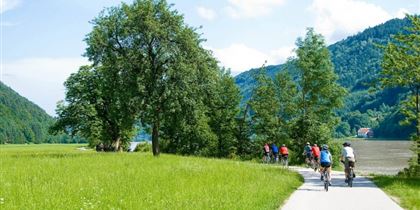 Smooth asphalt surface, flat route and the spectacular scenery of the Danube river attract cyclists from the whole Europe.