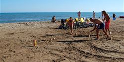 Playing Kubbe on the beach, a throwing game, which demands precision, much like the French pétanque.