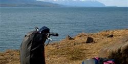 The Yedoo Ox scooters endured the unusual loading as well as the difficult terrain without any problems.