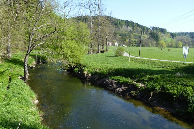 The valley of the river Tichá Orlice 