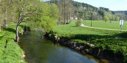 The valley of the river Tichá Orlice 