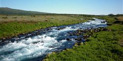 They were absolutely amazed by the Icelandic virgin nature.