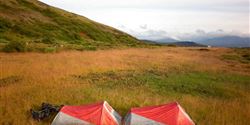 They carried rather heavy baggage – they cooked from their own supplies and slept mostly in the tents.