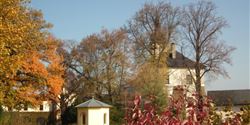 Letohrad, erstwhile called Kyšperk, is a town of alleys and Cimrman heritage. You can admire the beautiful trees as well as inventions created by the renowned Czech globetrotter at the local castle.