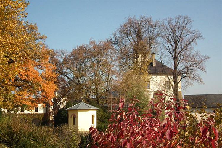 Letohrad, někdejší Kyšperk, je městem alejí a cimrmanovského odkazu. Krásné stromy i vynálezy známého světoběžníka můžete obdivovat na zdejším zámku.