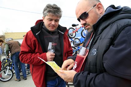 Browsing through the plan of wine cellars with a glass of wine in the hand.