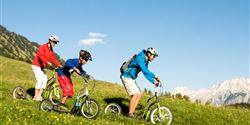 You can rent Yedoo scooter in the Alps too