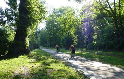 Okruh zámeckým pakem v Lednici je dlouhý 8,5 km.