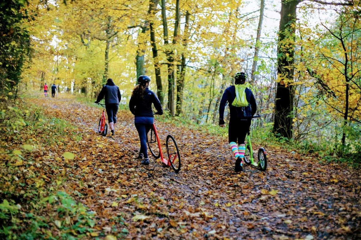 Die meisten Menschen in der gemäßigten Zone haben mit Herbst-Melancholie zu kämpfen. 