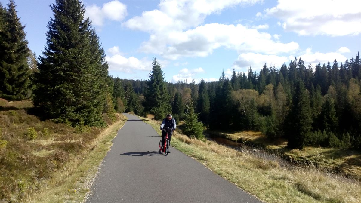 Hanka and Standa enjoyed the beauty of Modrava from a scooter footsteep for the first time last year.