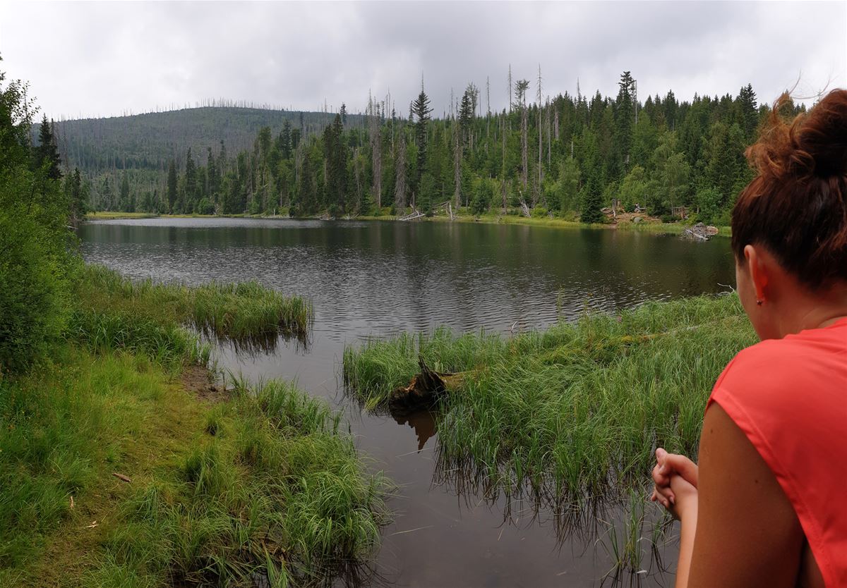 Malebné jezero Laka