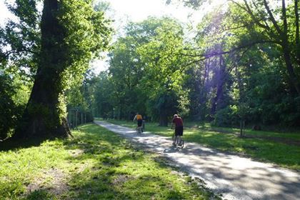 Okruh zámeckým pakem v Lednici je dlouhý 8,5 km.