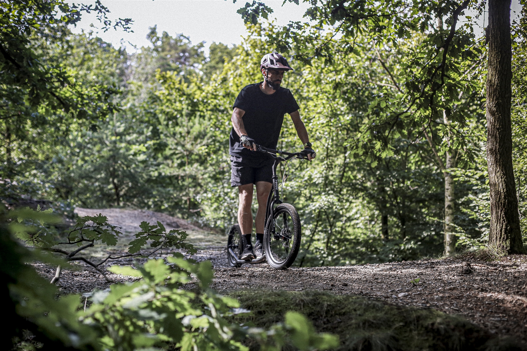 S2016&nbsp;Disc