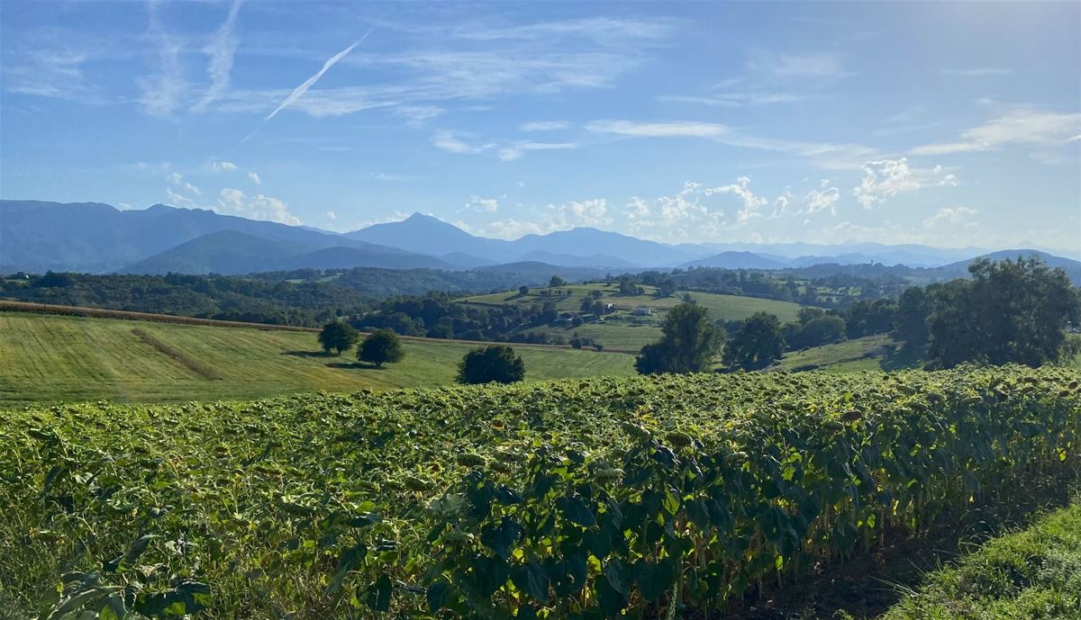 Pyrenees in sight. Josef wants to return there once more due to their beauty. 