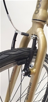 S2620 Silvergold