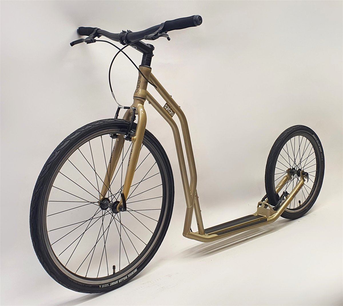 S2620 Silvergold