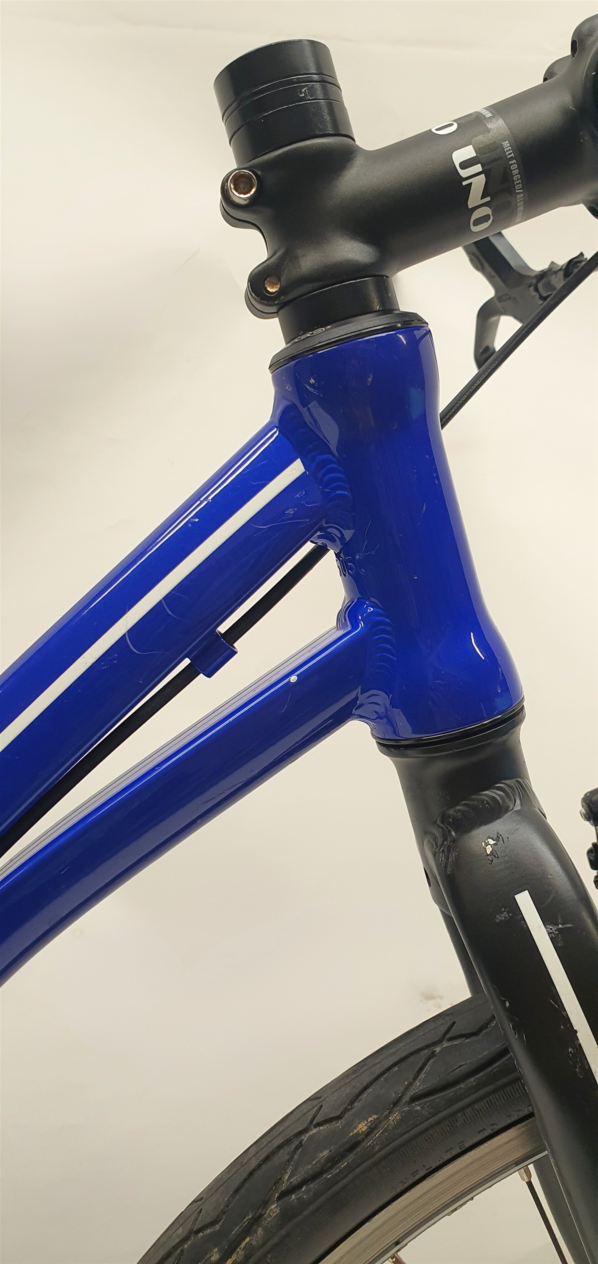 Trexx Blue