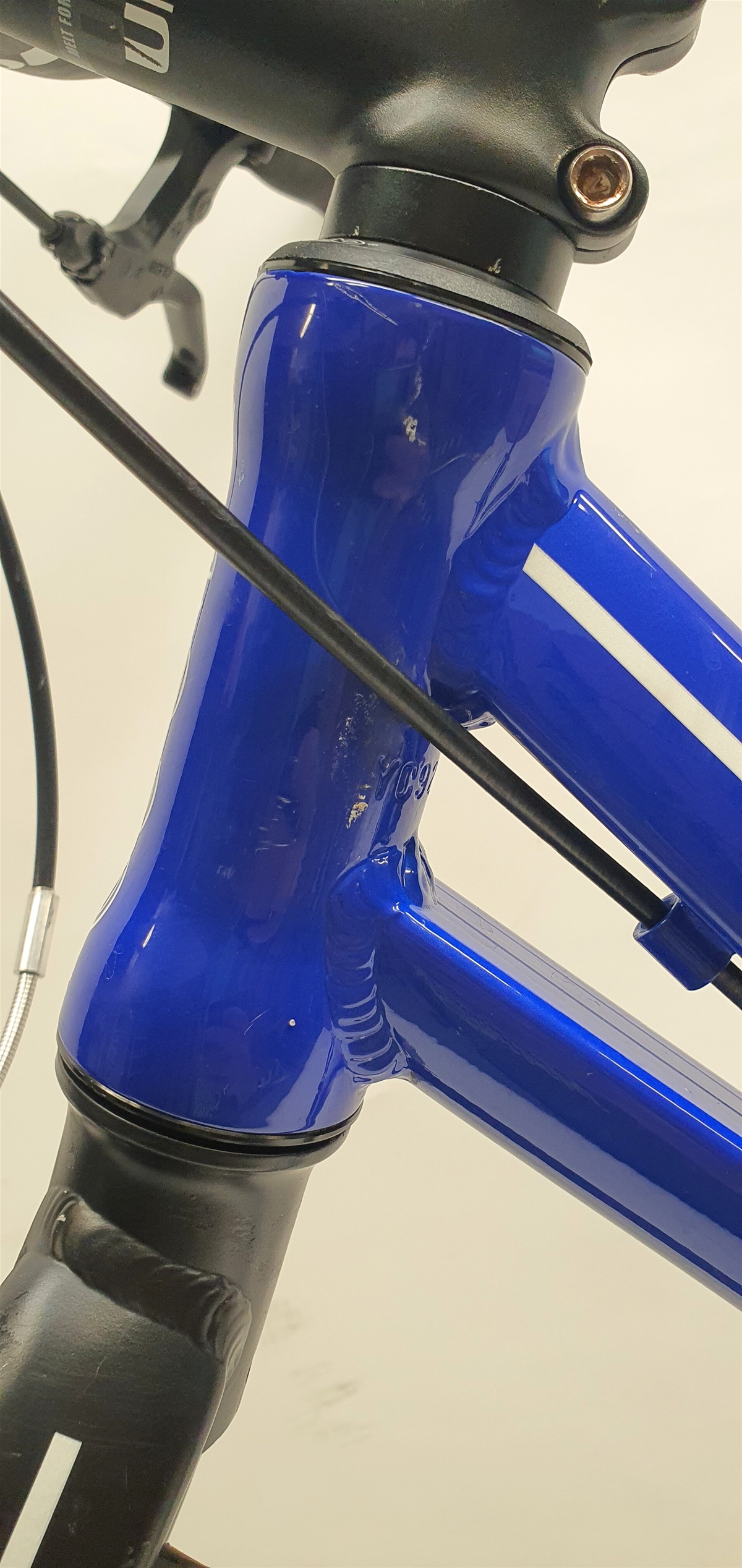 Trexx Blue