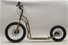 S2016 Disc Silvergold