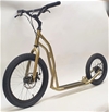 S2016 Disc Silvergold