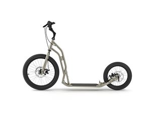 S2016 Disc Silvergold
