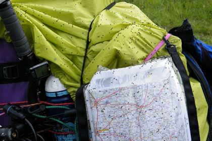 Эти жучки, к счастью, не кусались - но залезали повсюду.