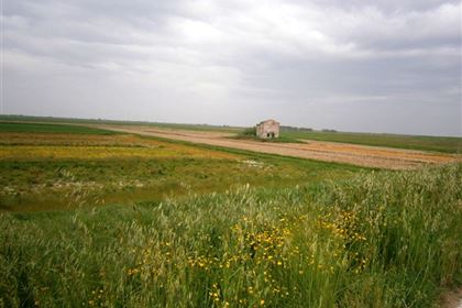 The countryside offers romantically stunning views, as well as boasts various historical monuments reminding the long settlement history of the lowland area of the River Po.