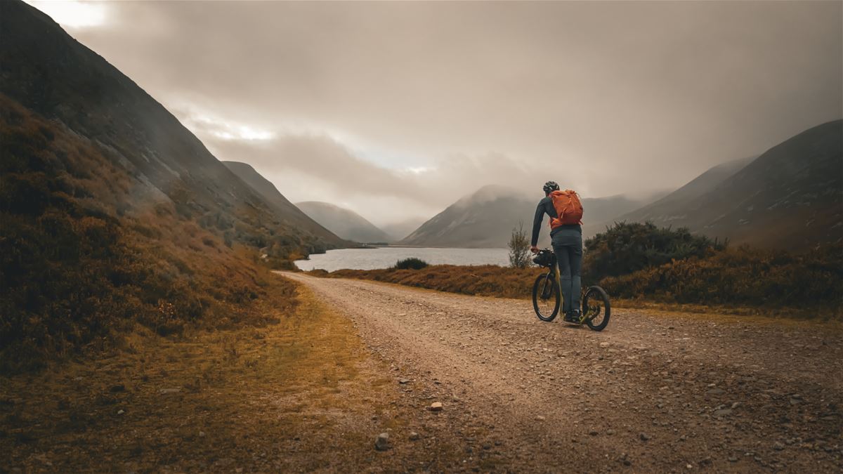 JOGLE Trexx Disc scooter