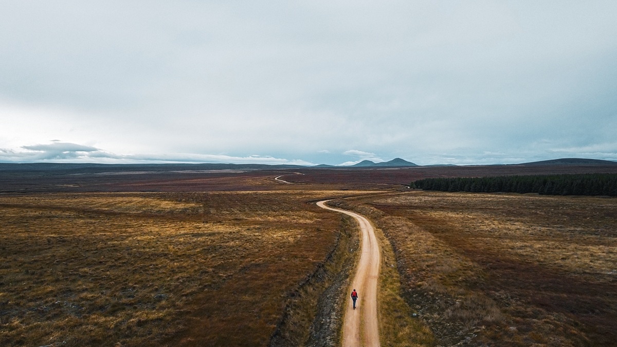 Trexx Disc Flow Country JOGLE