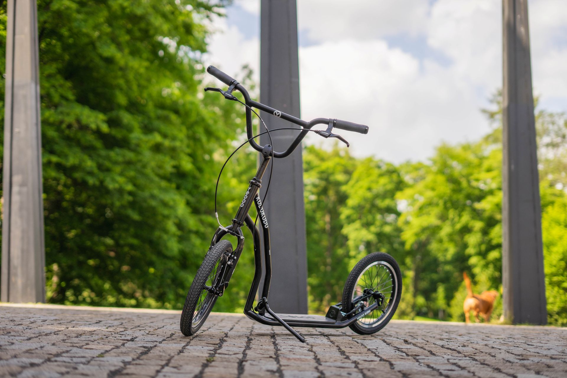 Discover the new city scooter