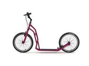 S2020 Burgundy